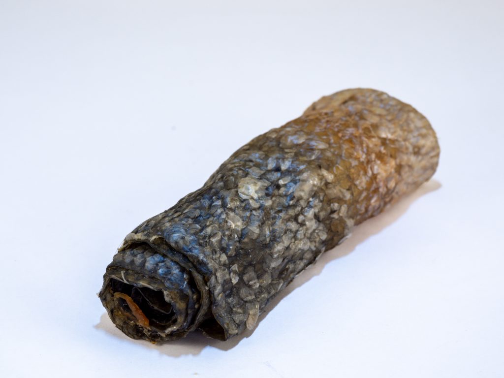 Rollitos de salmón