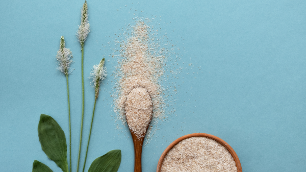 Psyllium - Imagen 2