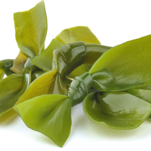 Kombu