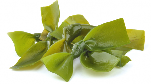 Kombu