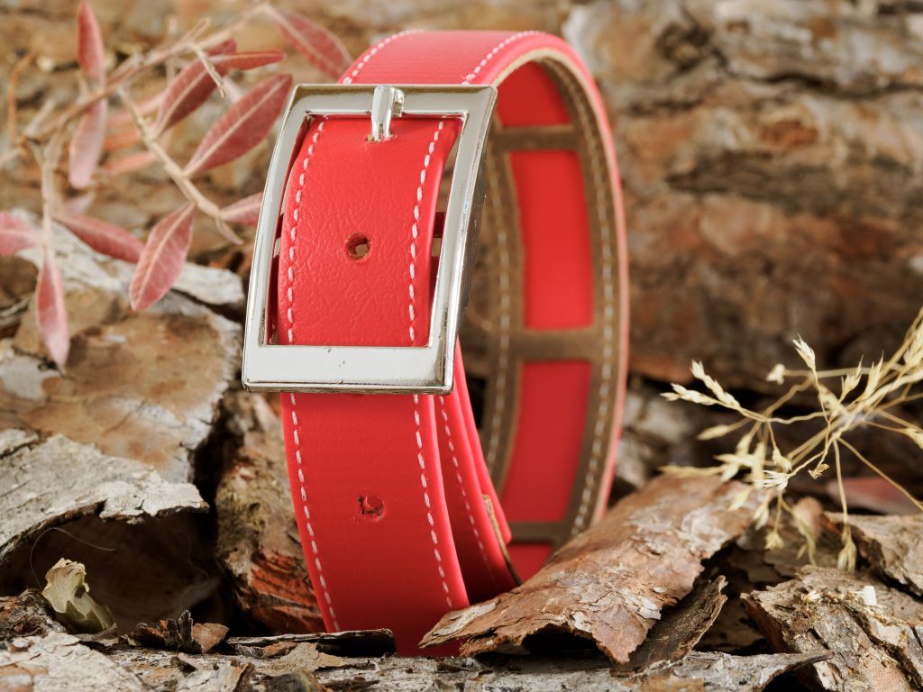 ark9: Collar rojo