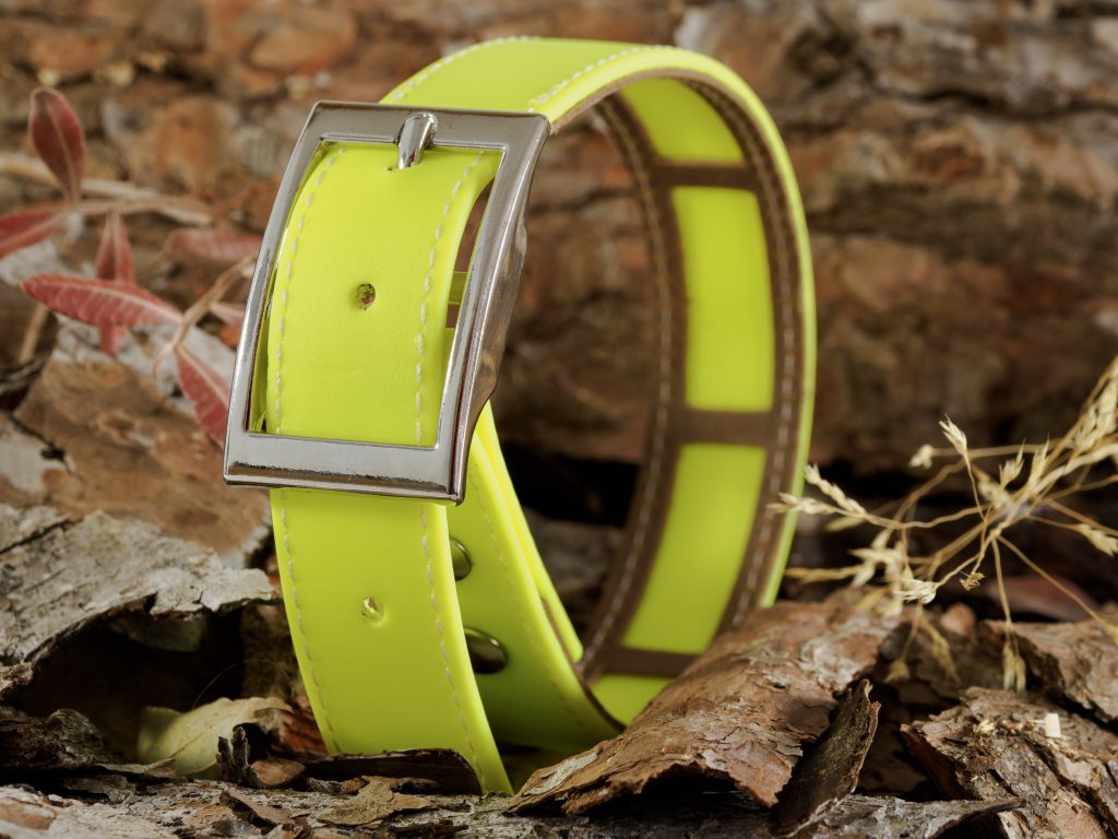 ark9: Collar amarillo