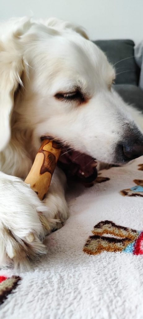 ark9: Palo de olivo