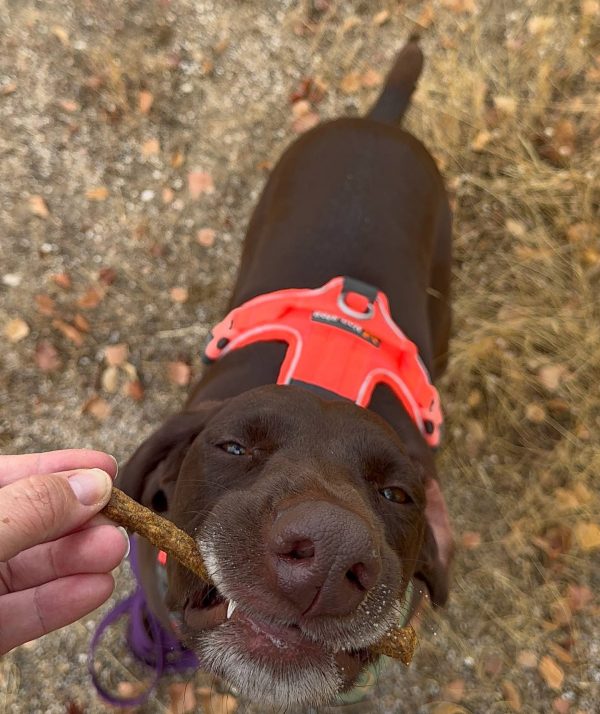 Bastoncitos de pollo y calostro