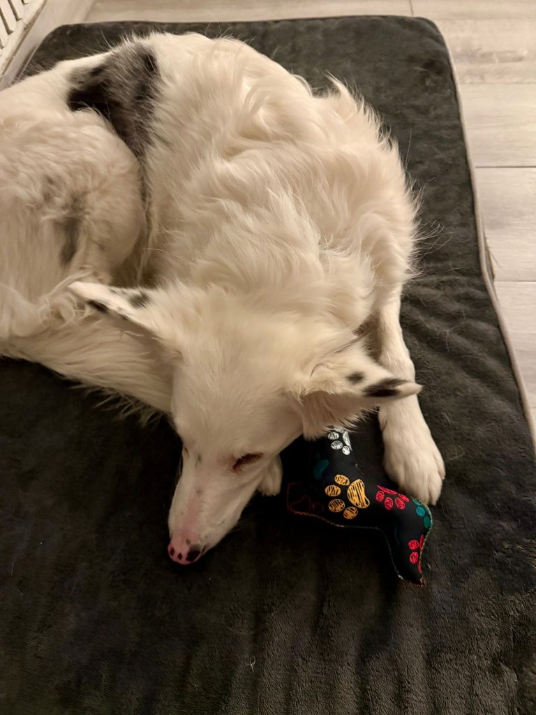 ark9: Mordedor de peluche