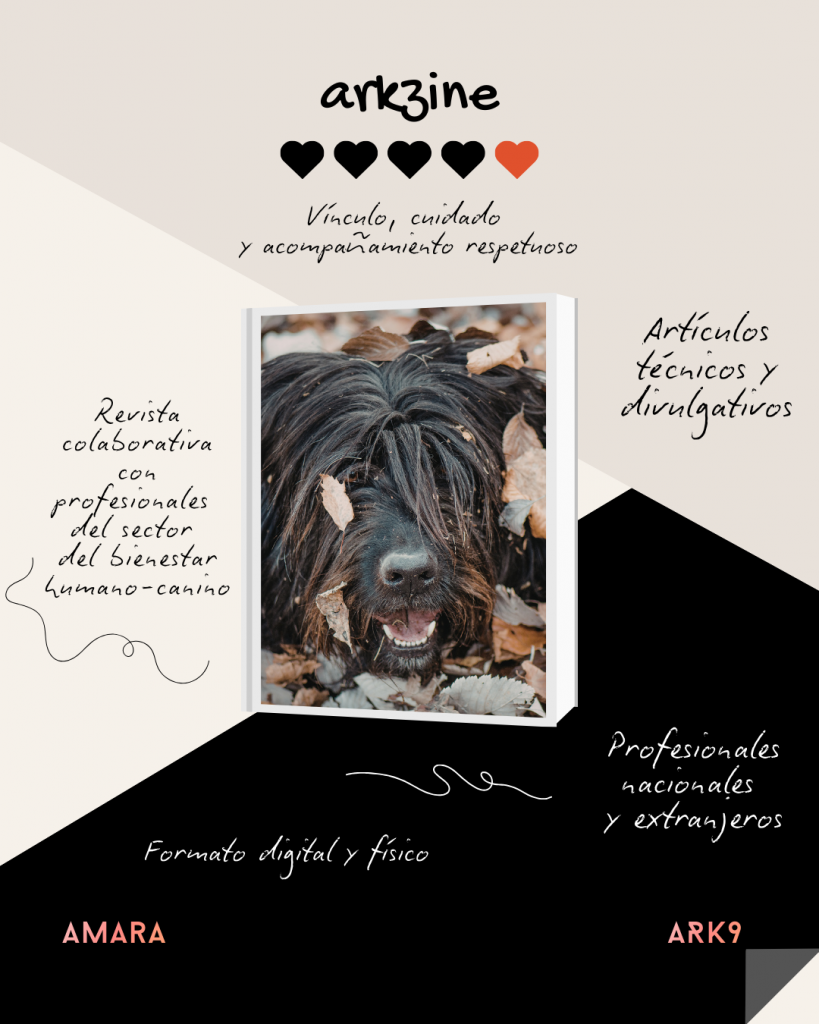 arkzine - Edición impresa