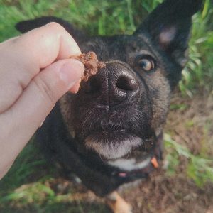 Bocaditos de pato