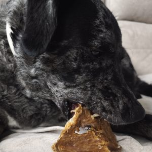 Librillos de bacalao