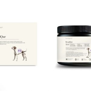 SILVERWOOF: RenalQur