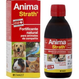 STANGEST: Anima Strath