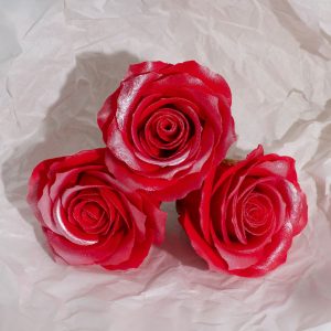 Ágora: Cajita de autocuidado (0426)