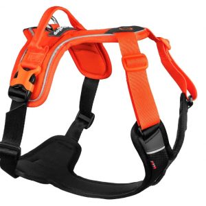 NON-STOP: Ramble harness