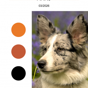 ark9 - arkzine - Vol. 04