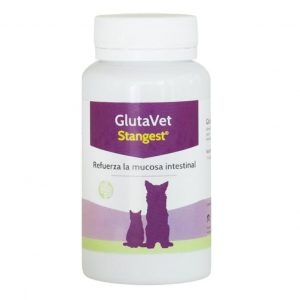 STANGEST: Glutavet