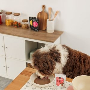 PET'BEL: Crema de huesos de cordero de pasto con hígado