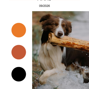 ark9 - arkzine - Vol. 06