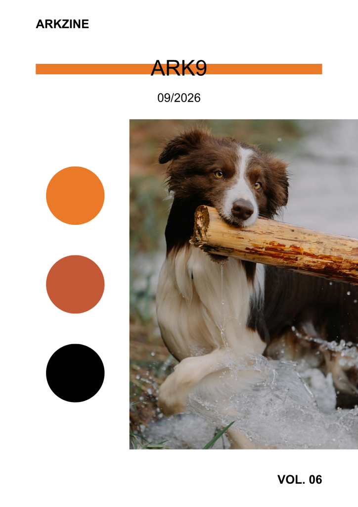 ark9 - arkzine - Vol. 06